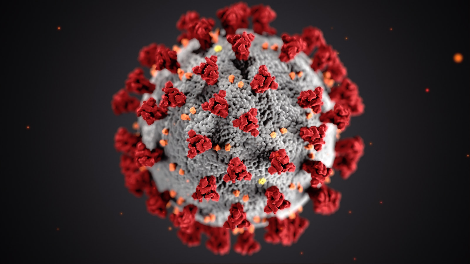 Coronavirus (COVID-19)